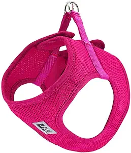 RC Pet Products Step in Cirque Soft Walking Dog Harness, Medium, Raspberry